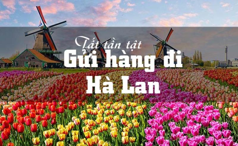 Netherlands là nước nào