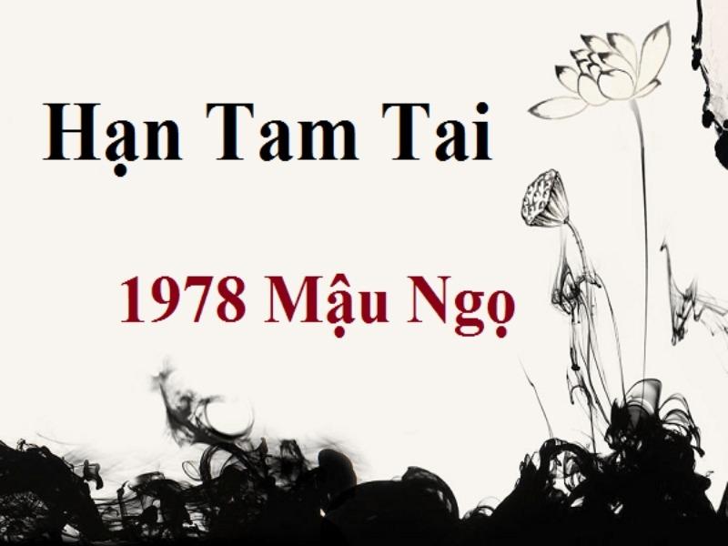 Tuổi Mậu Ngọ 1978 năm 2024 có phạm Tam Tai không