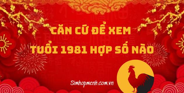 1981 hợp số nào