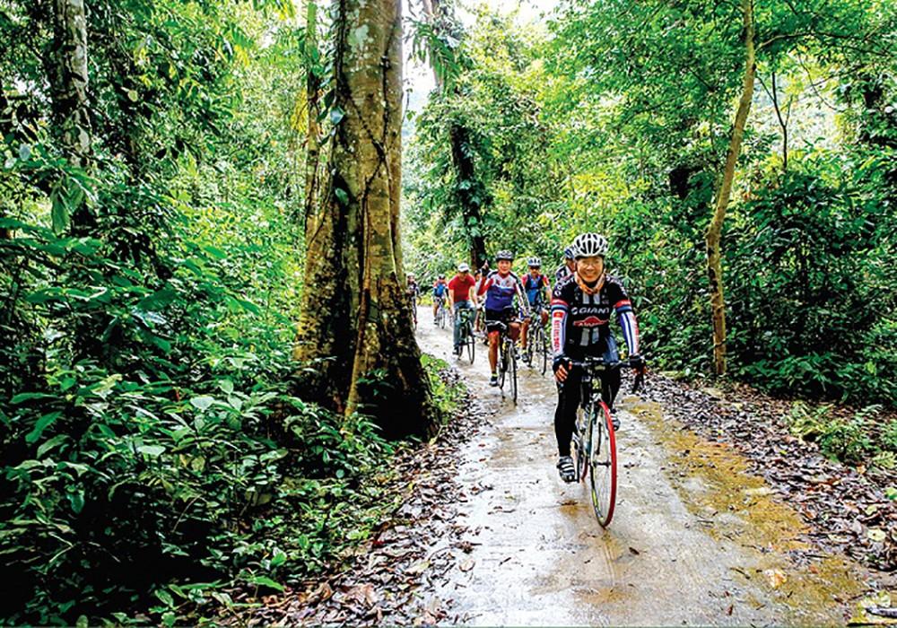 Tourists cycle in Xuan Son National Park in the northern province of Phu Tho. (Photo; baophutho.vn)