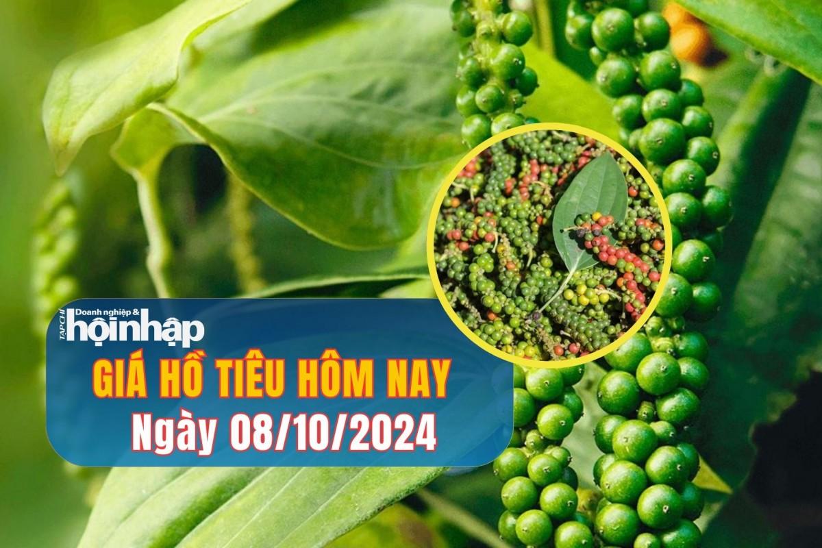 Giá hồ tiêu hôm nay 08/10/2024: Giá tiêu quay đầu giảm nhẹ 500 đồng/kg