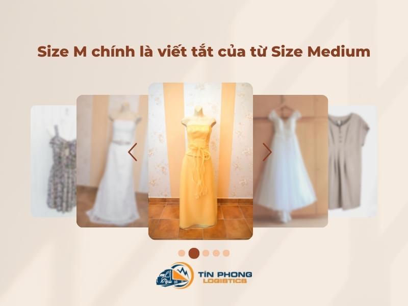 Size M chính là viết tắt của từ tiếng Anh Size Medium