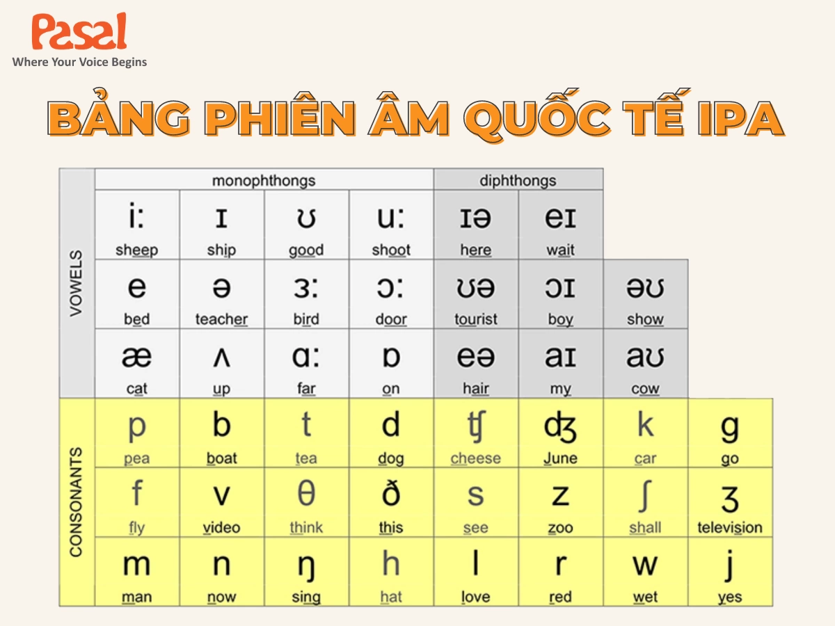 Bảng phiên âm IPA tiếng Anh chuẩn Anh - Mỹ