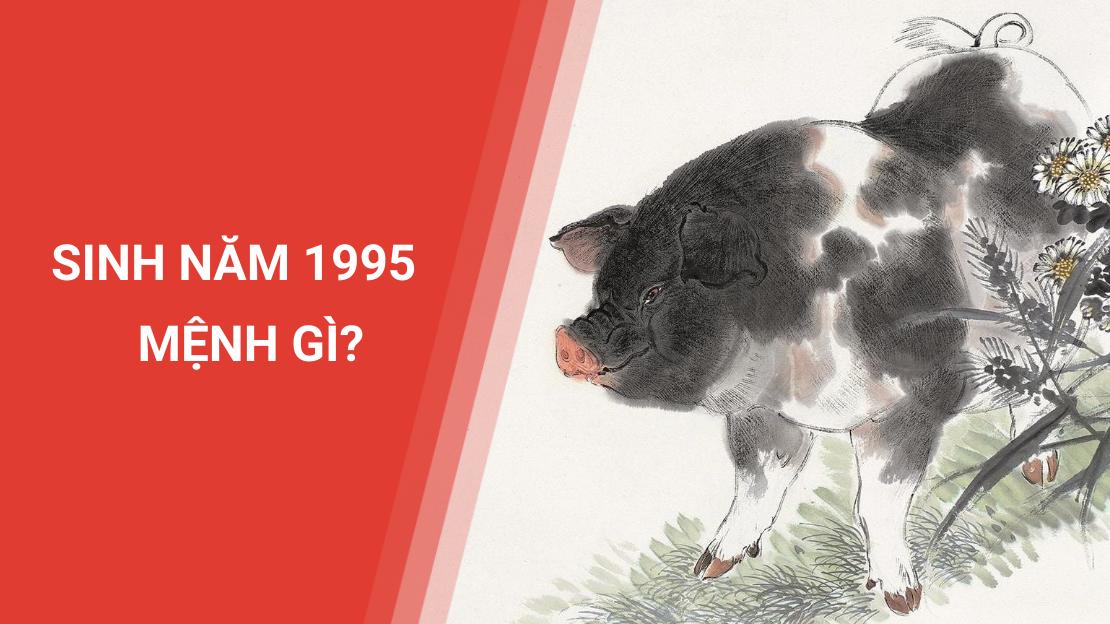 Sinh năm 1995 mệnh gì được nhiều người quan tâm