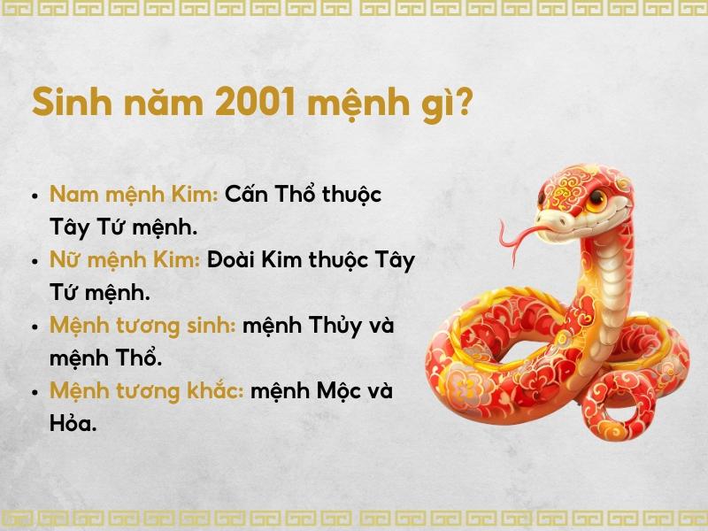 2001 mạng gì?