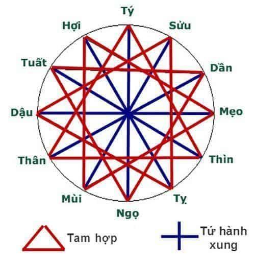 tử vi 12 con giáp