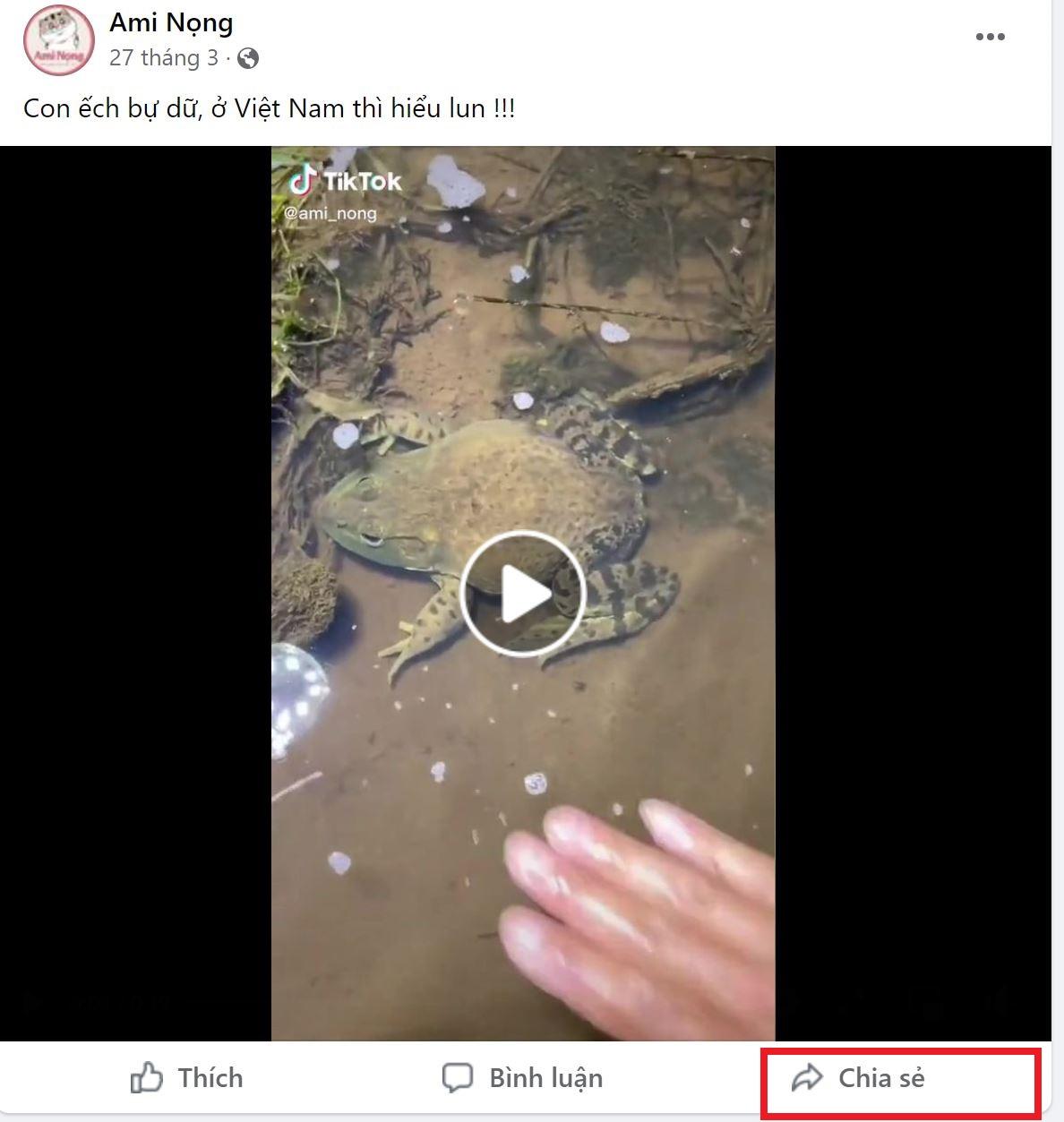 Hướng dẫn chia sẻ video/bài viết từ Facebook sang Zalo đơn giản